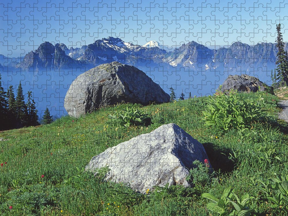 Tatoosh Range Jigsaw Puzzle featuring the photograph 1M4862-Tatoosh Range and Mt. St. Helens by Ed Cooper Photography