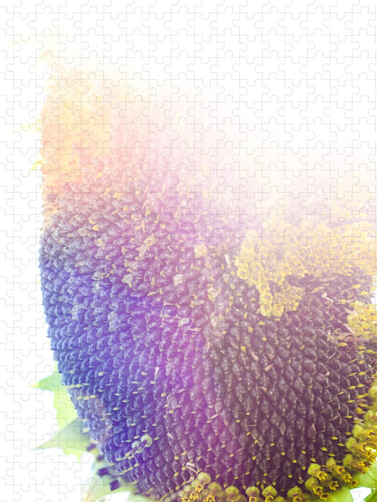 Technicolor Sunflower Jigsaw Puzzle featuring the photograph Technicolor Sunflower by Christi Kraft