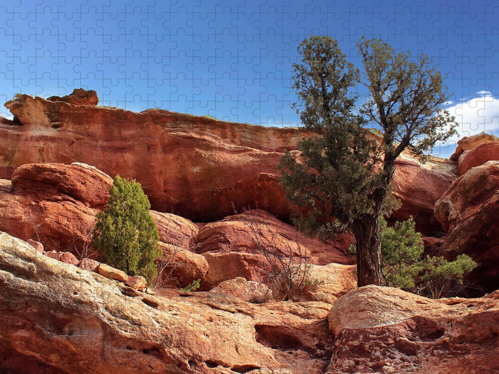 Tenacity Jigsaw Puzzle featuring the photograph Tenacity by Lorraine Baum