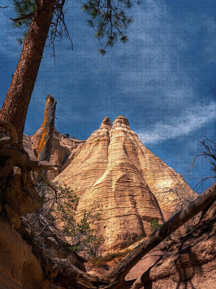 Beautiful Jigsaw Puzzle featuring the photograph Tent Rock and Ponderosa Pine by Robert FERD Frank