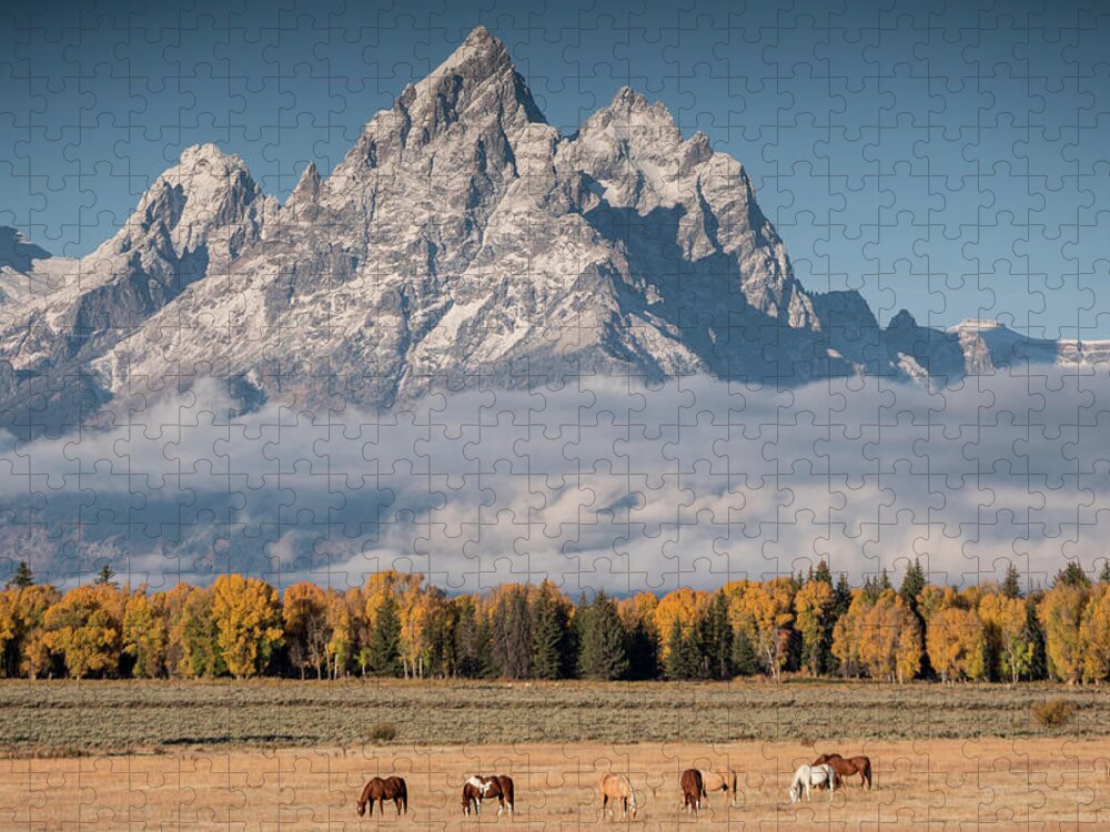 Horses Jigsaw Puzzle featuring the photograph Teton Horses by Wesley Aston
