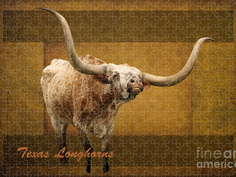 Longhorn Jigsaw Puzzle featuring the photograph Texas Longhorns by Ella Kaye Dickey