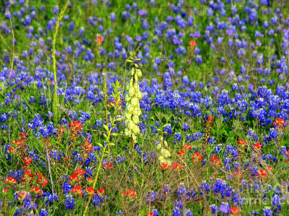 Texas Wildflowers Jigsaw Puzzle featuring the photograph Texas Wildflowers by Kathy White