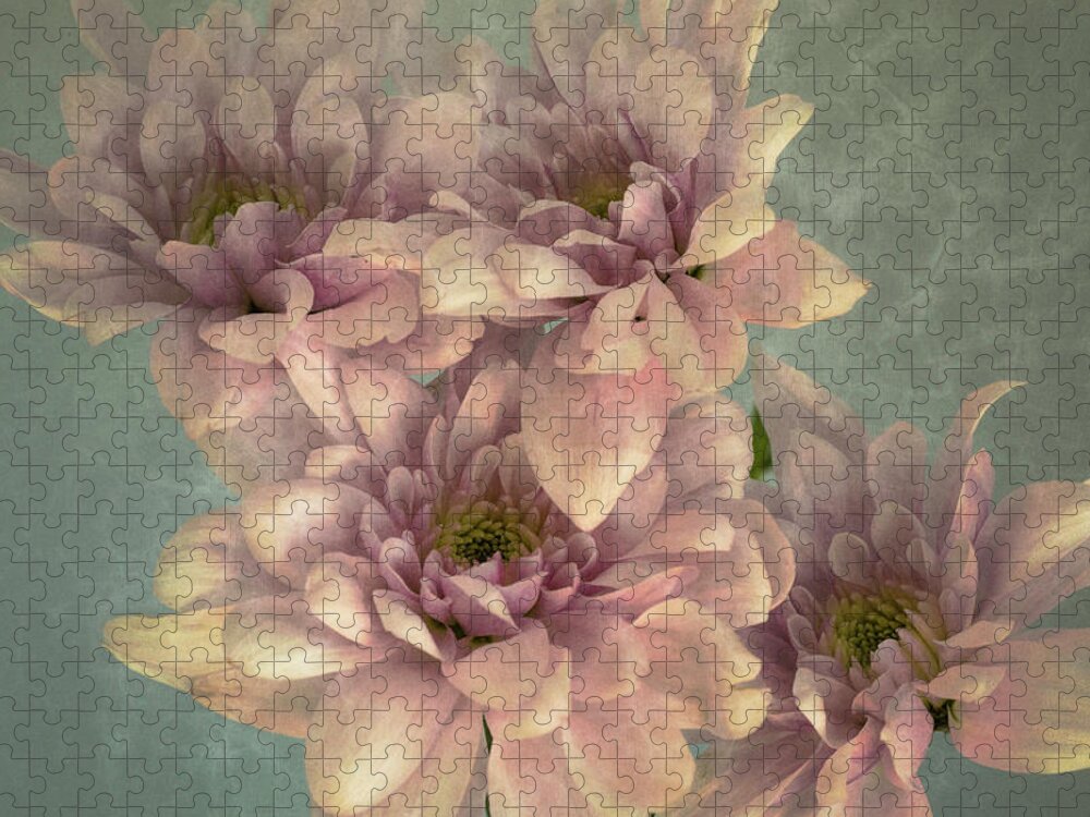 Mums Jigsaw Puzzle featuring the photograph Textured Mums by John Roach