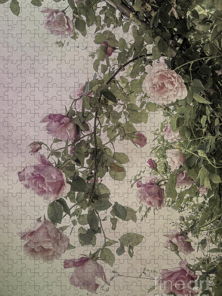Roses Jigsaw Puzzle featuring the photograph Textured Roses by Elaine Teague