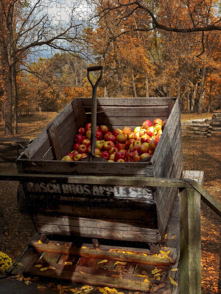 Apple Bin Jigsaw Puzzle featuring the photograph The Apple Bin by Susan Rissi Tregoning
