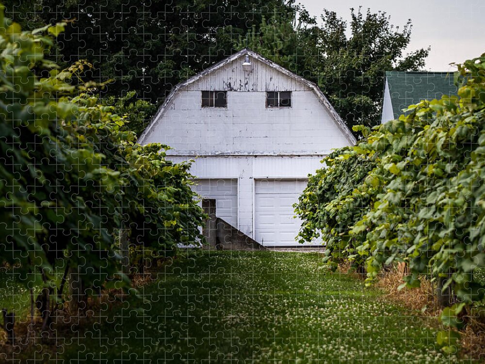 Barn Jigsaw Puzzle featuring the photograph The Barn at Mallow Run by Ron Pate