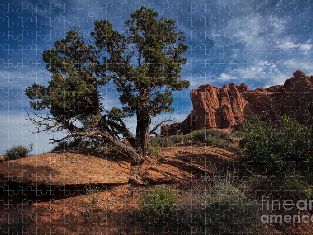 Utah Jigsaw Puzzle featuring the photograph The Canyon Trail by Jim Garrison