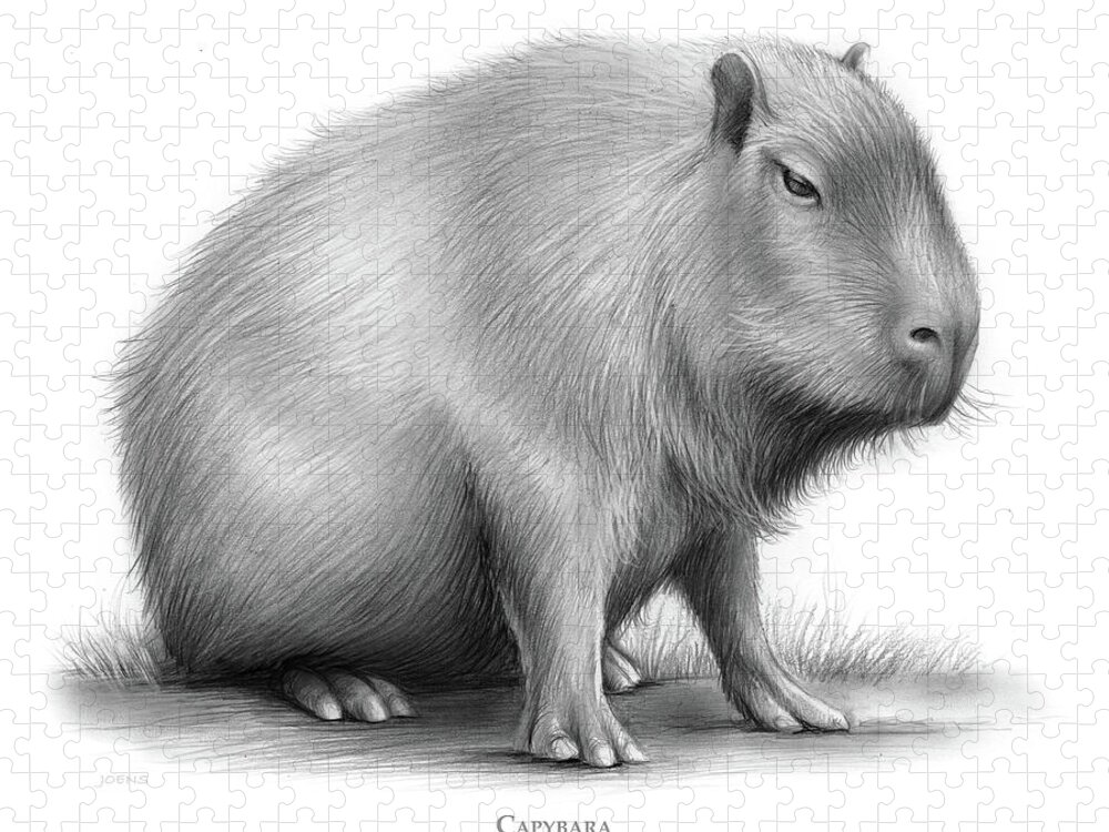 The Capybara Jigsaw Puzzle featuring the drawing The Capybara by Greg Joens