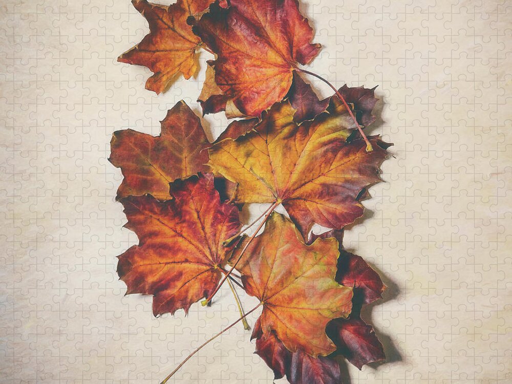 Leaves Jigsaw Puzzle featuring the photograph The Colors of Fall by Scott Norris