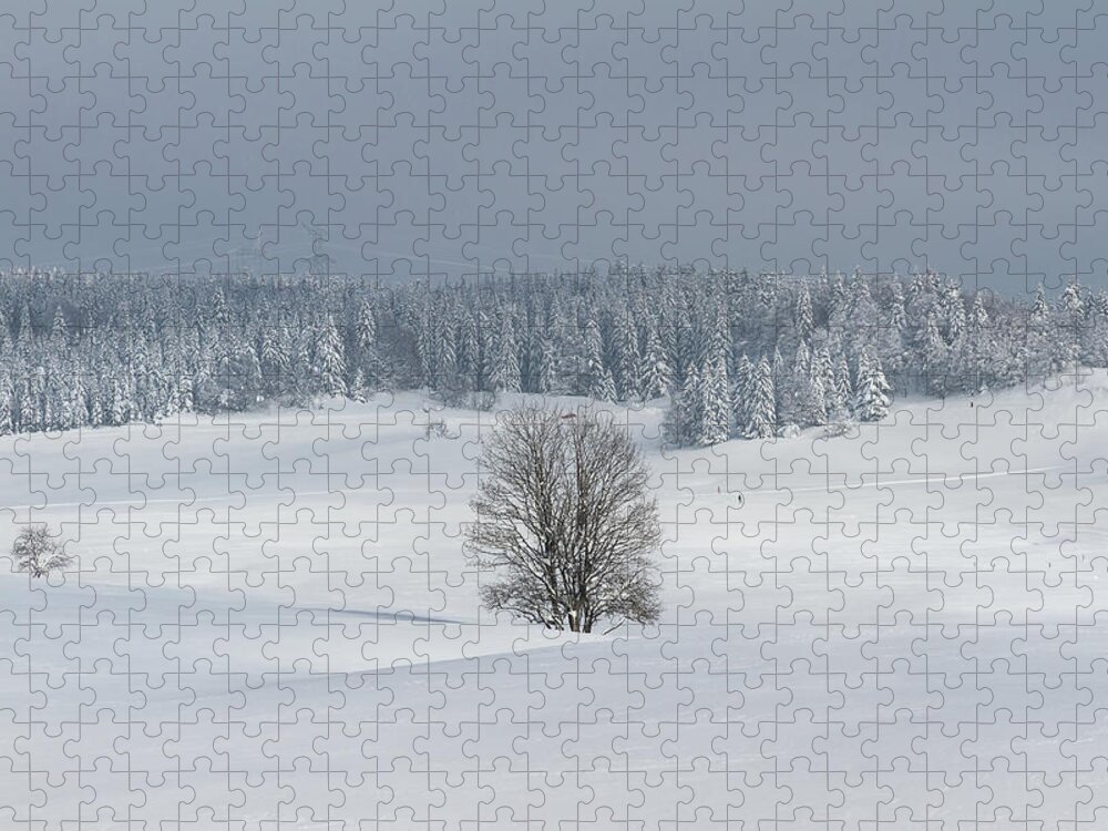 Snowy Landscape Jigsaw Puzzle featuring the photograph The combe of the Vezeronce - 3 by Paul MAURICE