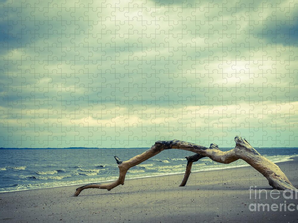 Teal Jigsaw Puzzle featuring the photograph The Cove Abstract Coastal Landscape Photograph by PIPA Fine Art - Simply Solid