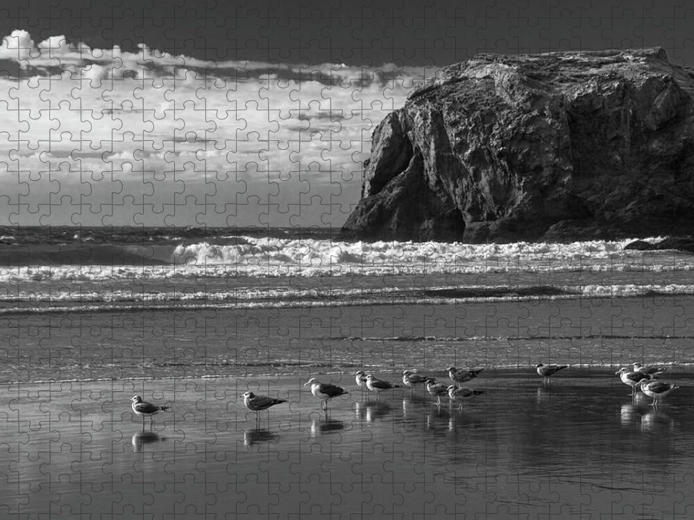 Bandon Beach Jigsaw Puzzle featuring the photograph The Coven by Steven Clark