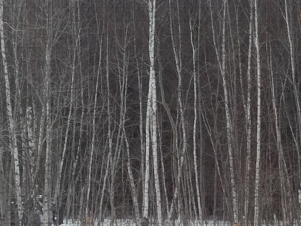 Trees Jigsaw Puzzle featuring the photograph The Dark Beyond The Trees by Jackie Mueller-Jones