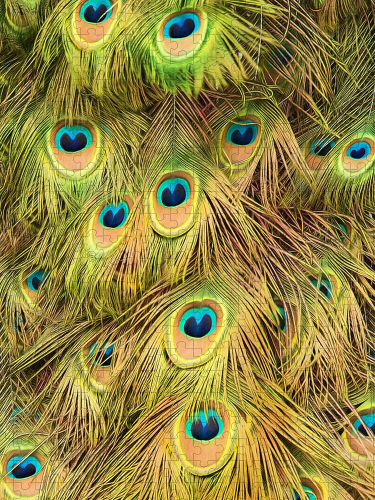 Peacock Jigsaw Puzzle featuring the photograph The Eyes Have It by Gary Slawsky
