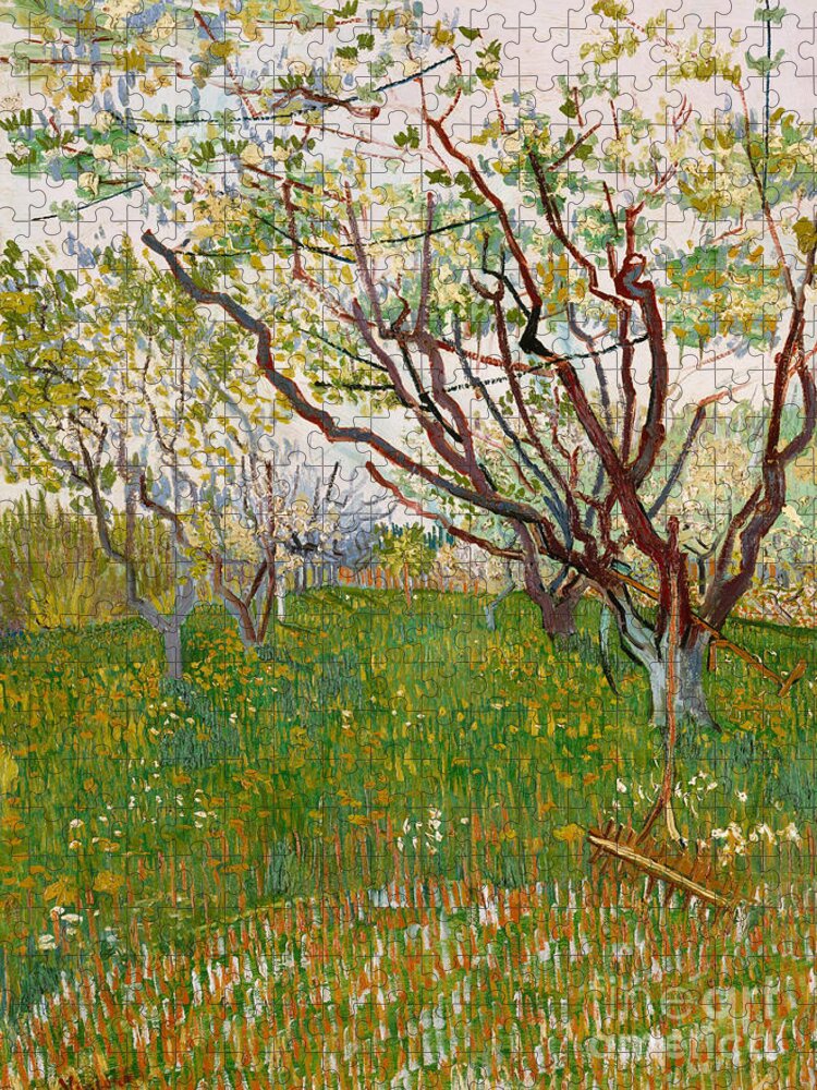 The Flowering Orchard Jigsaw Puzzle featuring the painting The Flowering Orchard, 1888 by Vincent Van Gogh