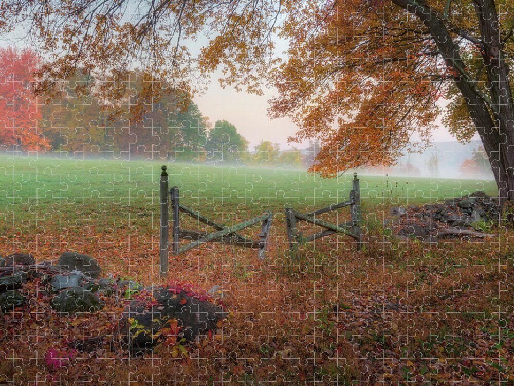 Gate Jigsaw Puzzle featuring the photograph The Gate by Bill Wakeley