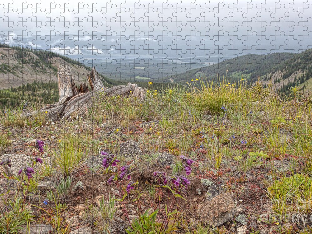 Cottonwood Pass Jigsaw Puzzle featuring the photograph The Gray Haven by Jim Garrison