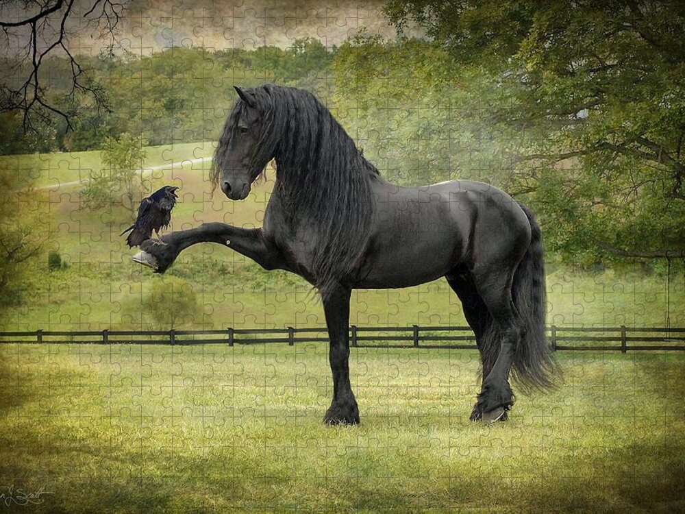 Friesian Horses Jigsaw Puzzle featuring the photograph The Harbinger by Fran J Scott