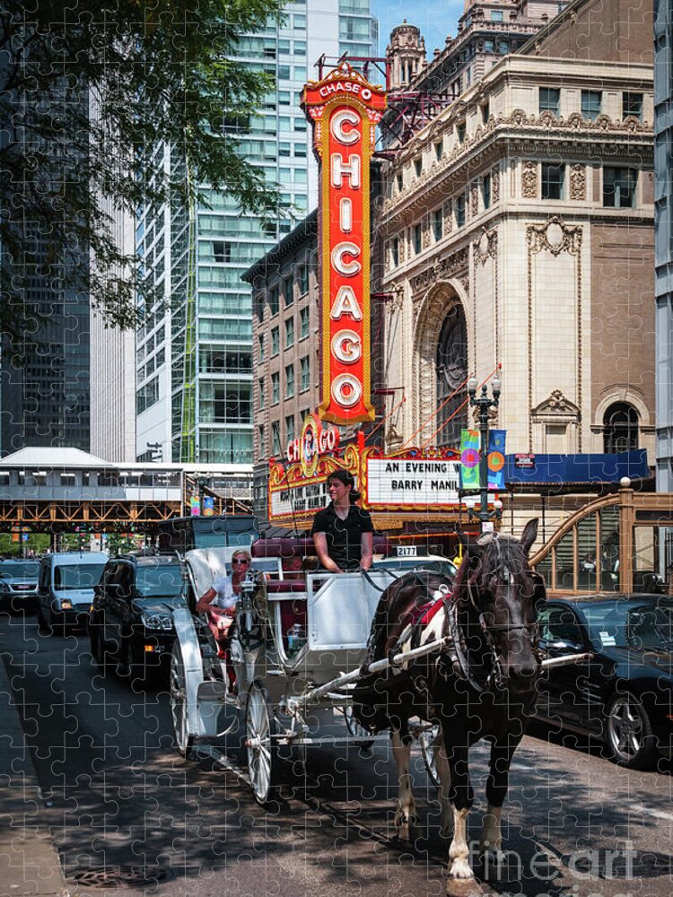 Art Jigsaw Puzzle featuring the photograph The Iconic Chicago Theater Sign and Traffic on State Street by David Levin