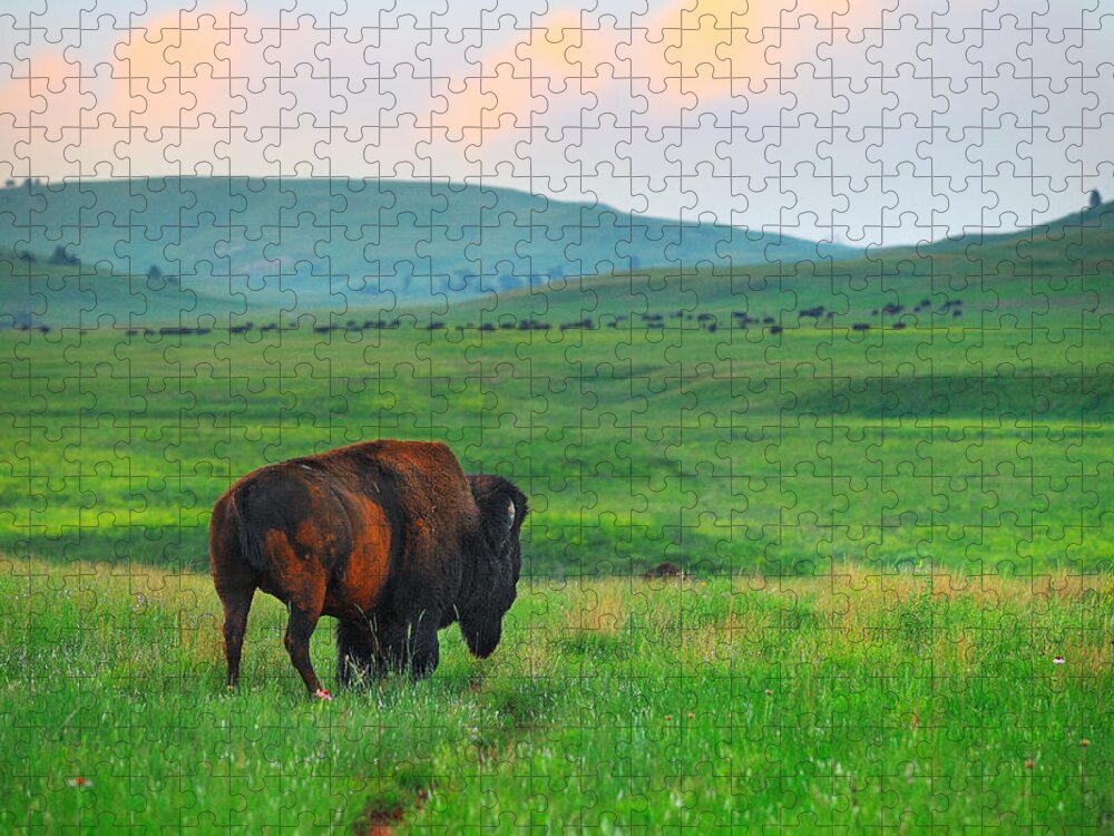 Bull Jigsaw Puzzle featuring the photograph The Last Warrior by Kadek Susanto