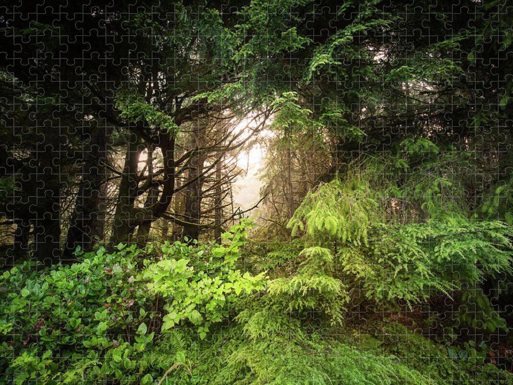The Within - Breaks Through Dense Rain Forest in Washington Jigsaw Puzzle by Photography - Pixels
