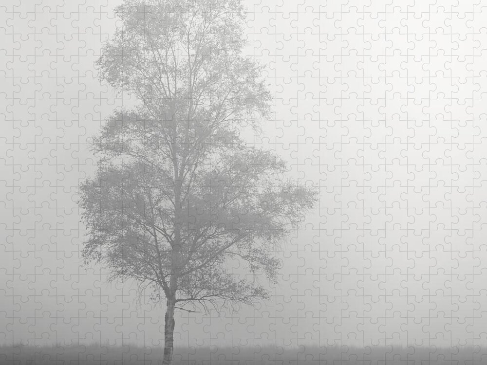 Tree Jigsaw Puzzle featuring the photograph The Lone Tree by Stephen Taylor