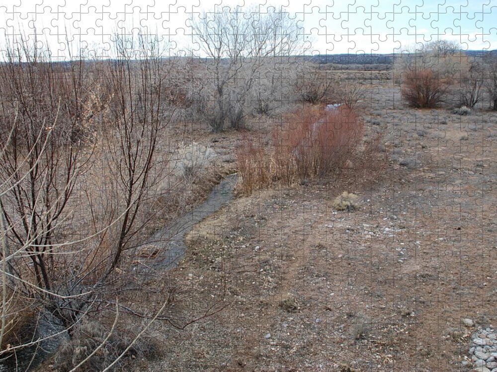 River Jigsaw Puzzle featuring the photograph The Mighty Santa Fe River by Rob Hans