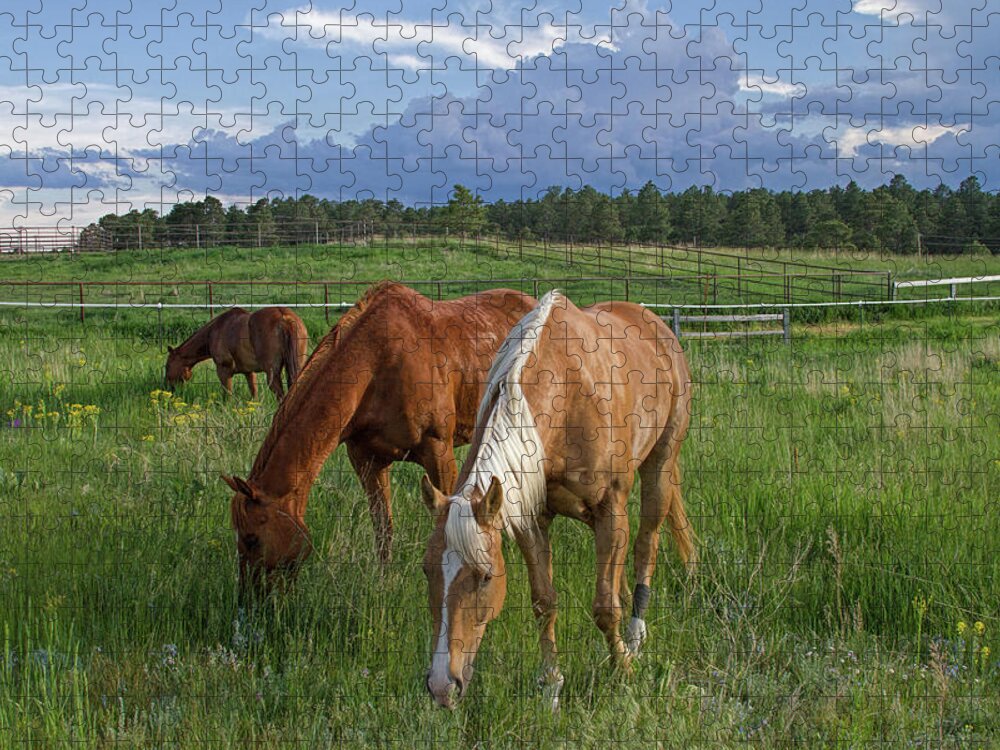 Horses Jigsaw Puzzle featuring the photograph The Mowing Crew by Alana Thrower