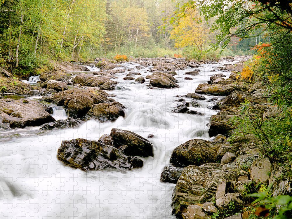 Stream Jigsaw Puzzle featuring the photograph The Nymphs of Moxie Stream Photo by Peter J Sucy