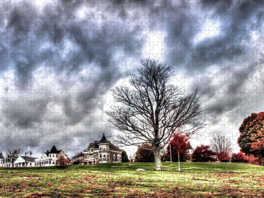 Maine Jigsaw Puzzle featuring the photograph The Overlook by Debra Forand