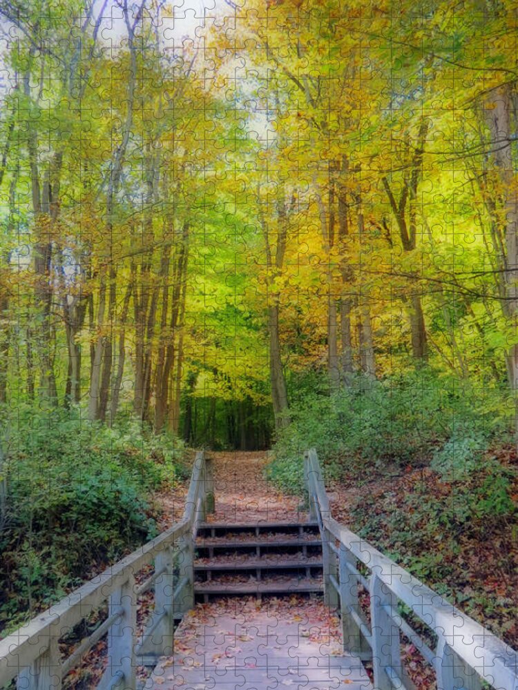 Autumn Jigsaw Puzzle featuring the photograph The Path Into Autumn Woods by Kay Novy