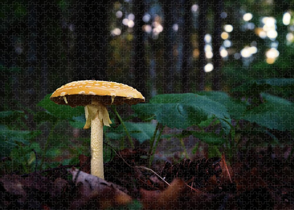Mushroom Yellow Spotted Sunset North Shore Mn Minnesota Forest Floor Fairy Toadstool Pinecone Jigsaw Puzzle featuring the photograph The Perfect Mushroom by Peter Herman