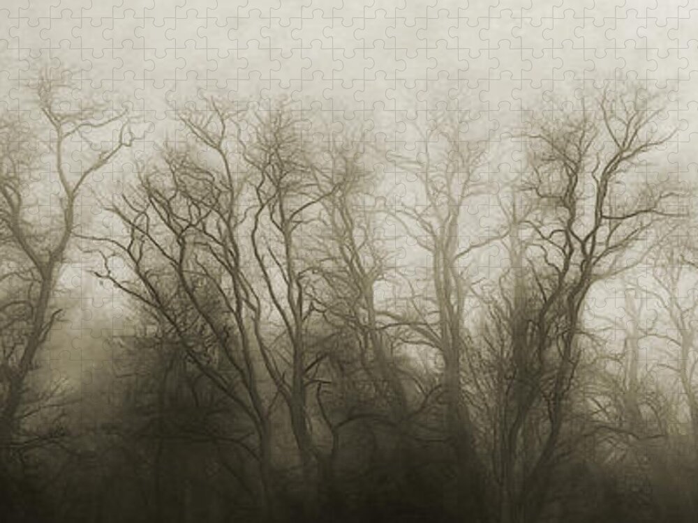 Foggy Jigsaw Puzzle featuring the photograph The Secrets of the Trees by Scott Norris
