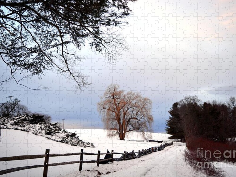 Trees Jigsaw Puzzle featuring the photograph The Tree by Dani McEvoy