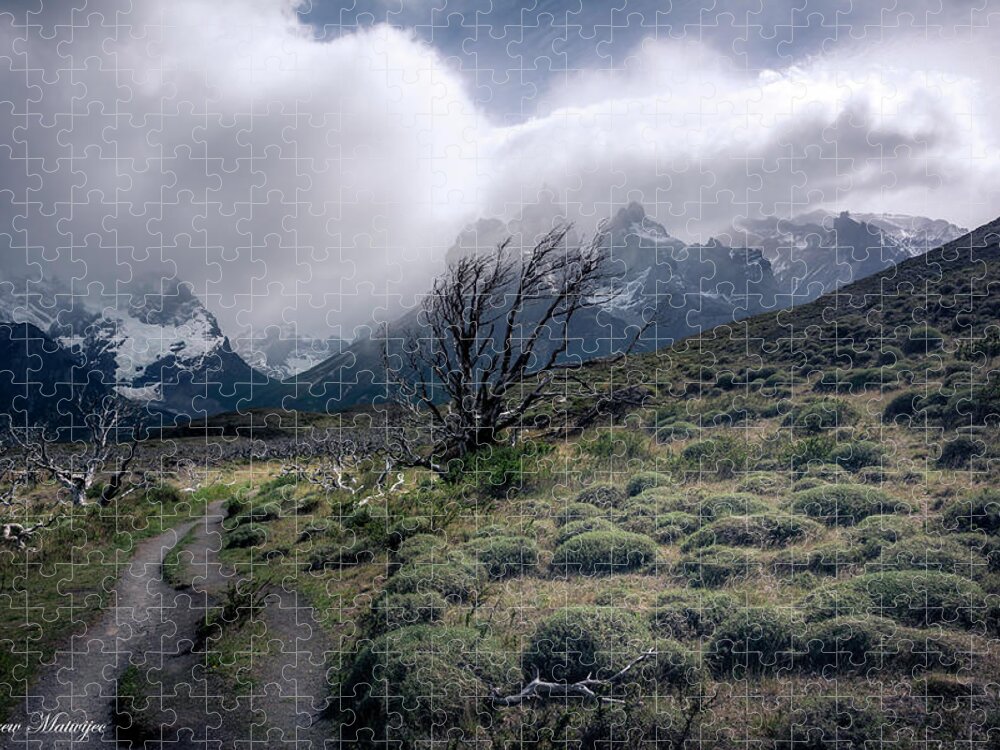 Wind Jigsaw Puzzle featuring the photograph The Tree in the Wind by Andrew Matwijec
