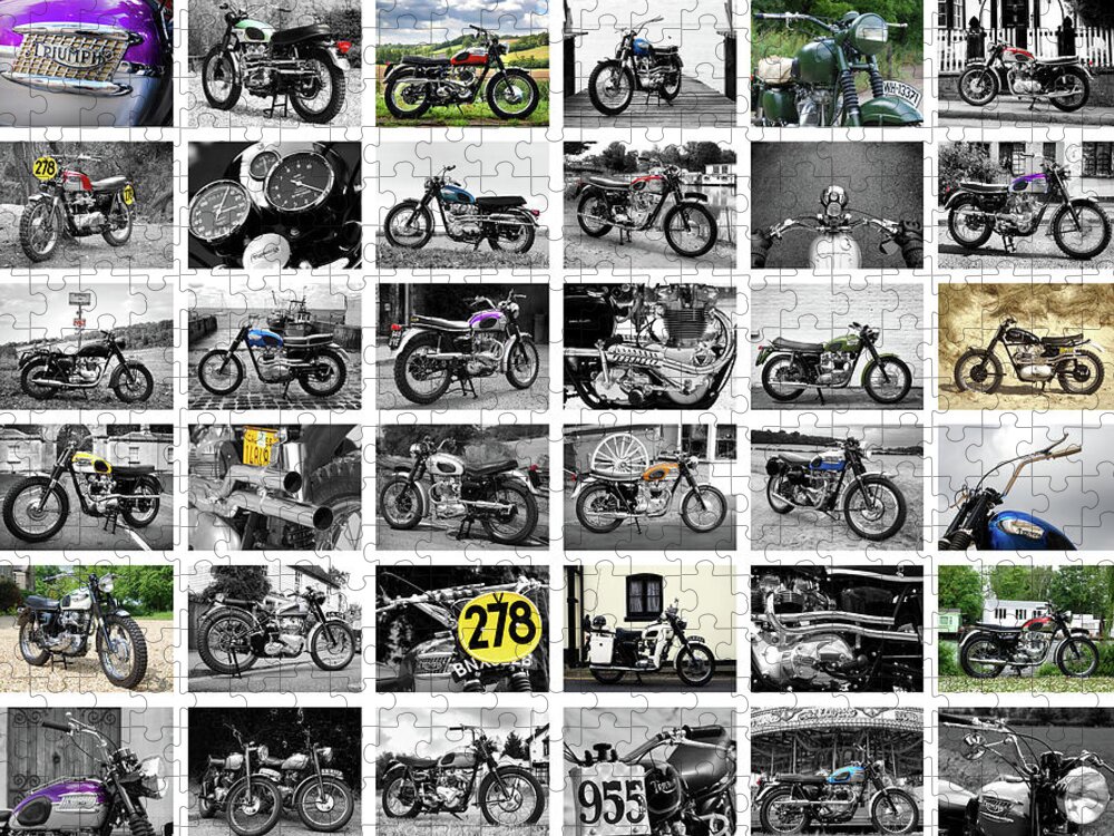 Triumph Jigsaw Puzzle featuring the photograph The Trophy Collection by Mark Rogan