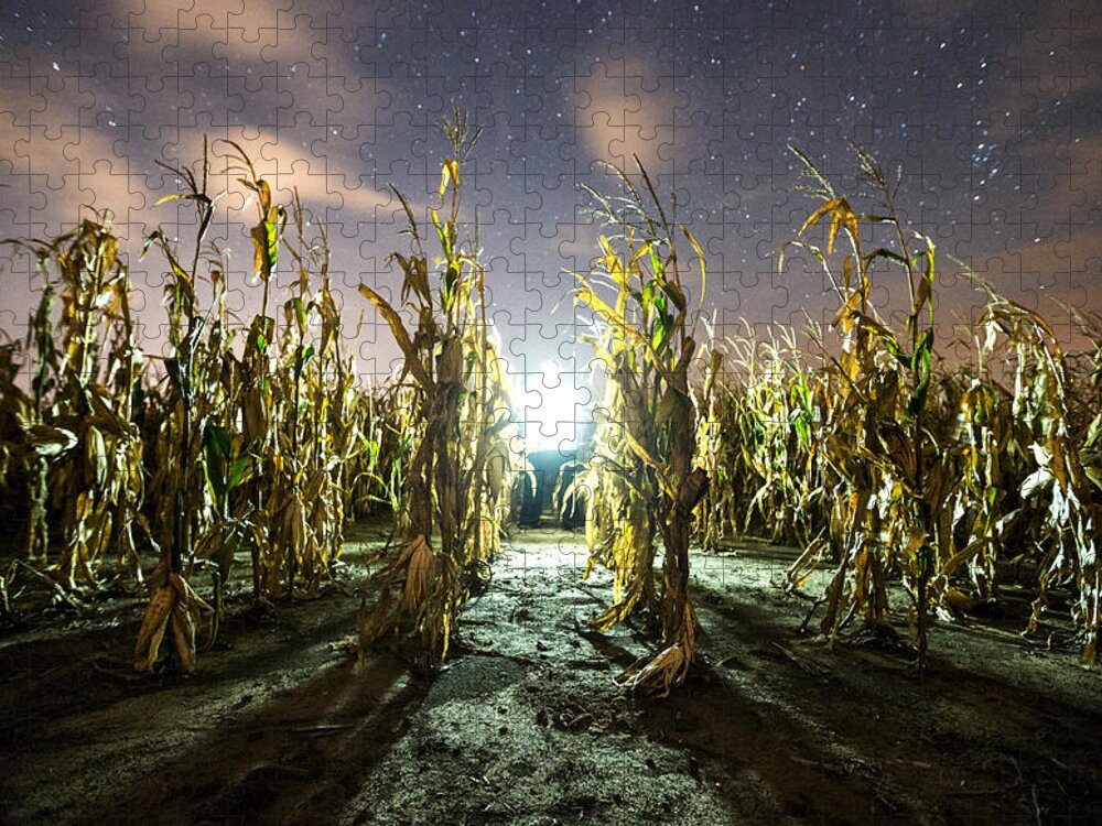  Jigsaw Puzzle featuring the photograph The Visitor by Aaron J Groen