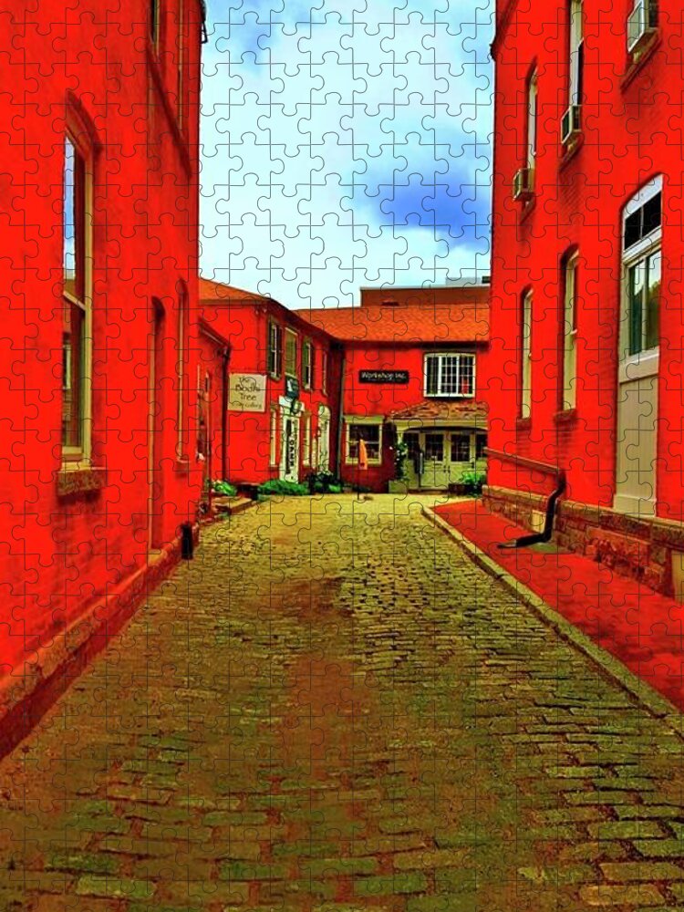 Brick Jigsaw Puzzle featuring the photograph The Walk by Dani McEvoy