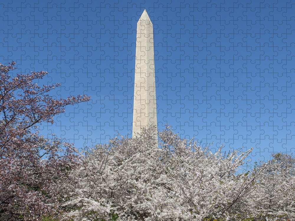 Scenic Jigsaw Puzzle featuring the photograph The Washington Monument and Cherry Blossoms DS0068 by Gerry Gantt