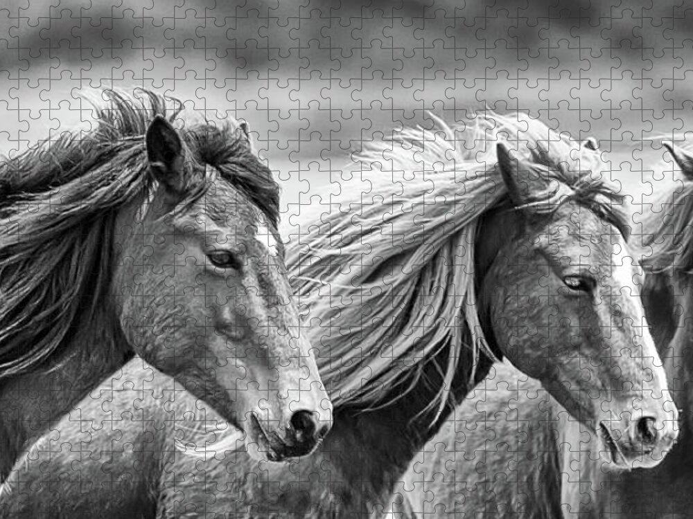 Horses Jigsaw Puzzle featuring the photograph The Wild Horses of Assateague Island by Ken Fullerton