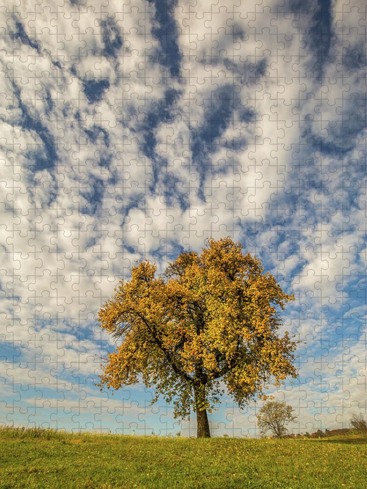 Landscape Jigsaw Puzzle featuring the photograph The yellow tree by Davorin Mance