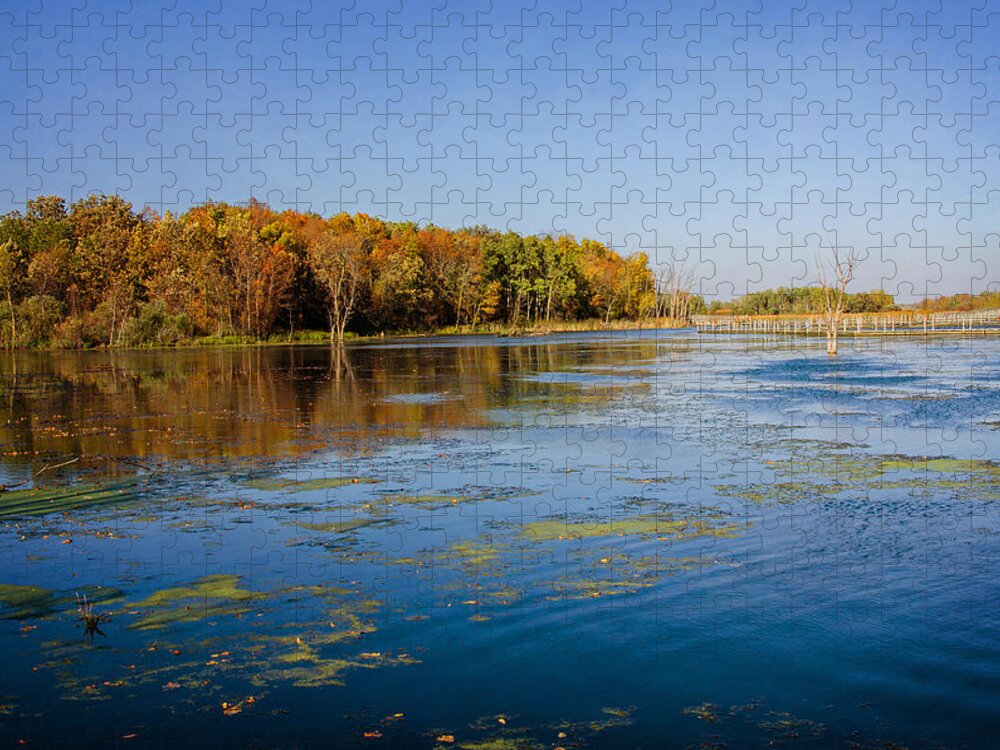 Horicon Marsh Jigsaw Puzzle featuring the photograph Horicon Marsh 3 by Susan McMenamin