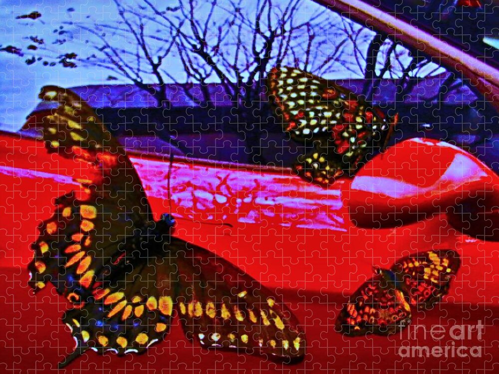 Digital Art Jigsaw Puzzle featuring the photograph Things that Fly 2 by Barbara Donovan