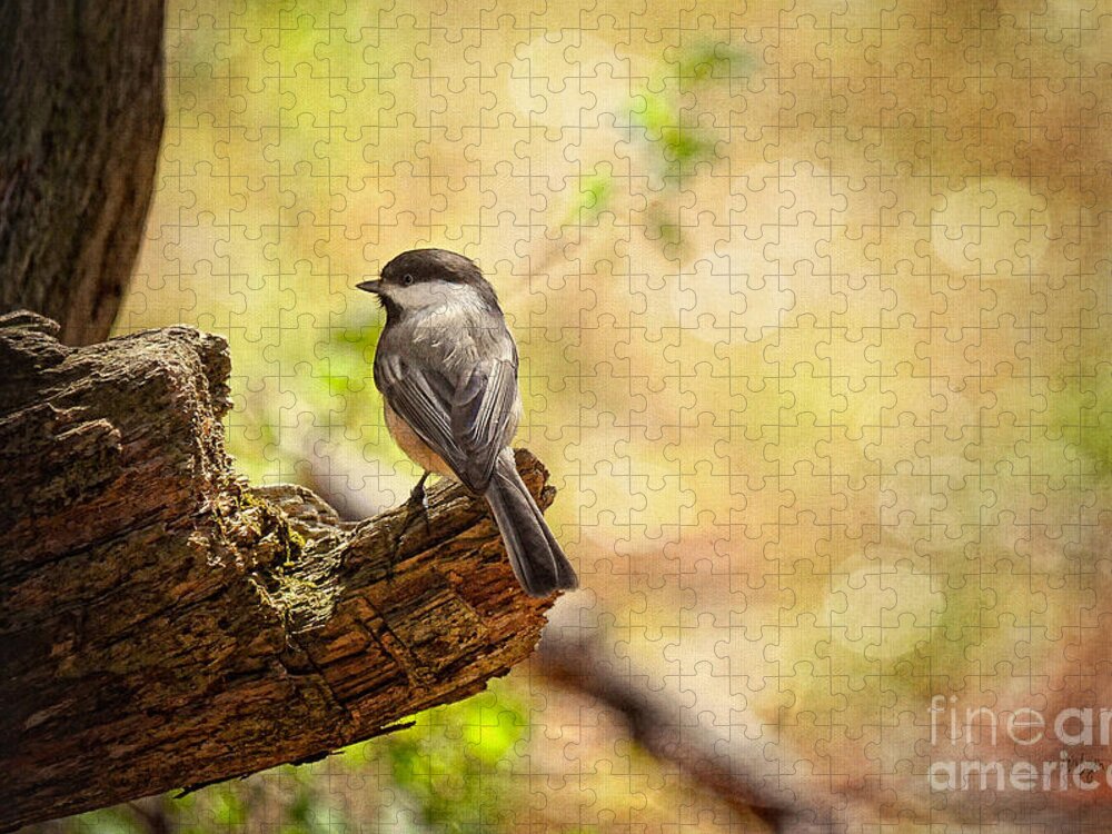 Bird Jigsaw Puzzle featuring the photograph Thinking of Spring by Lois Bryan