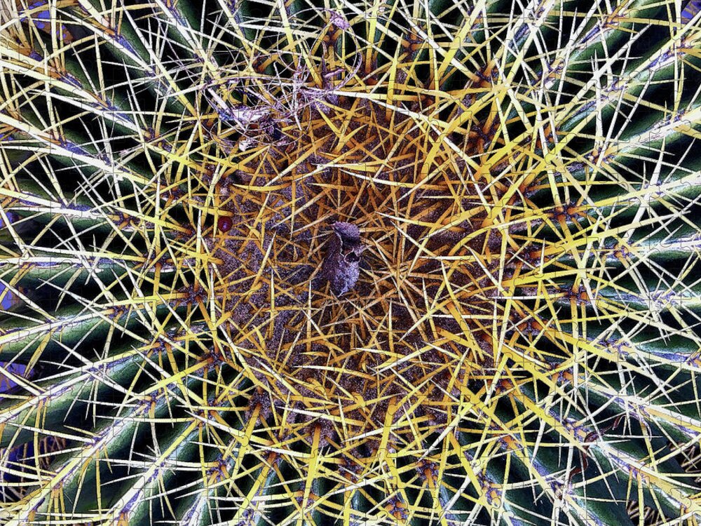 Cactus Jigsaw Puzzle featuring the photograph Thorny by Matt Cegelis