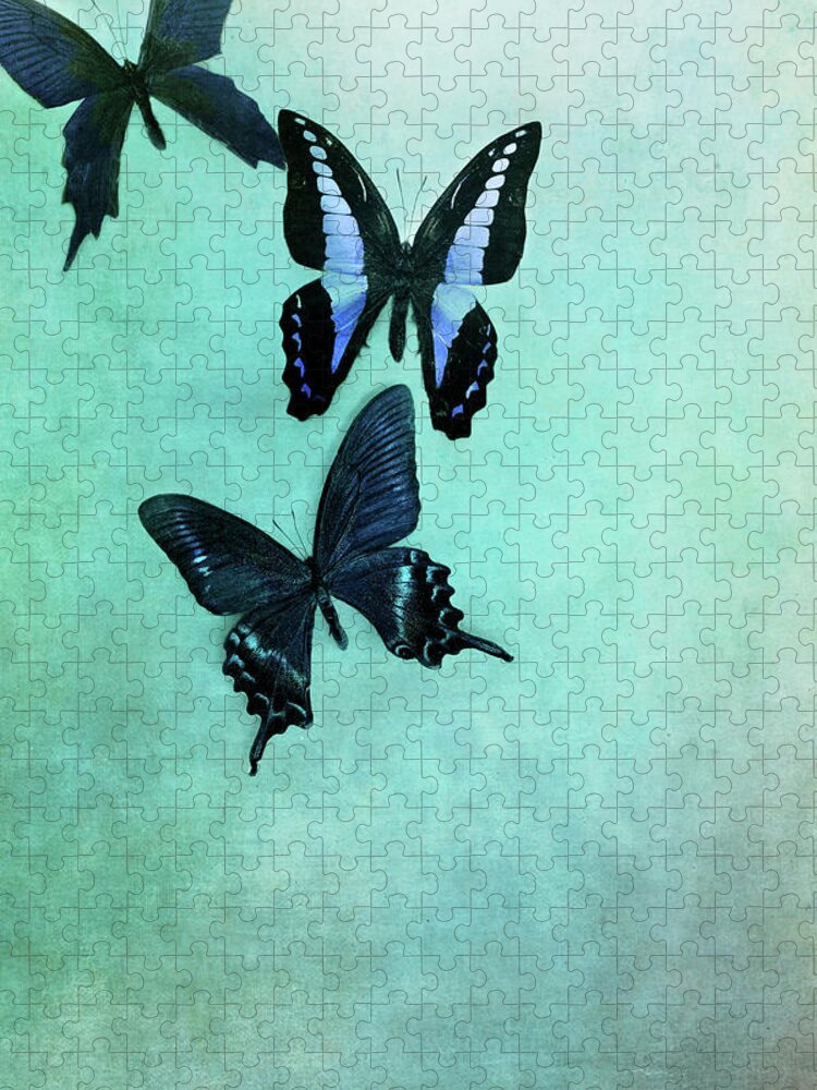 Butterfly Jigsaw Puzzle featuring the photograph Three Butterflies by Stephanie Frey