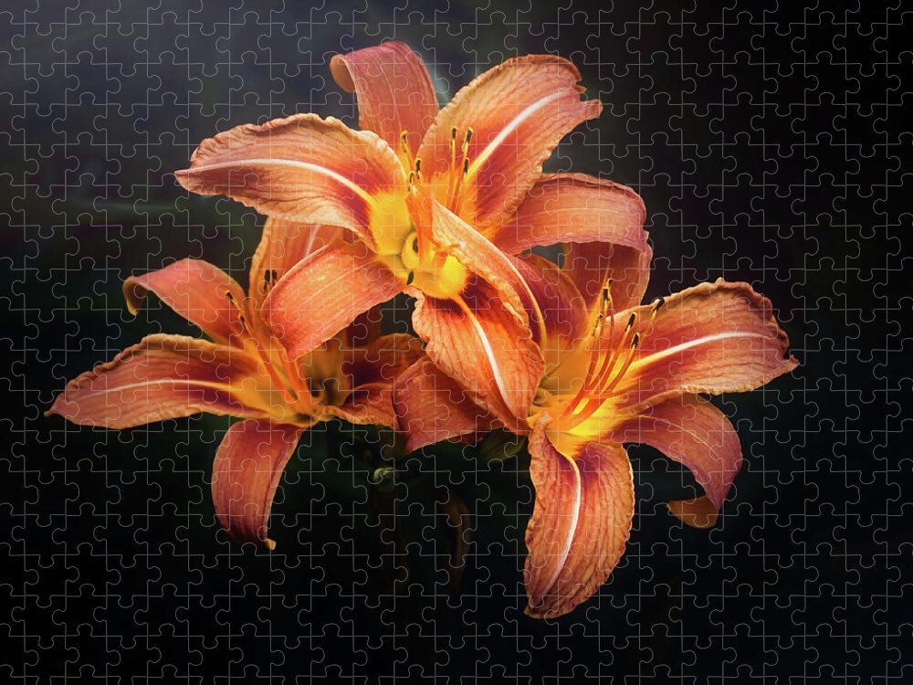 Lily Jigsaw Puzzle featuring the photograph Three Lilies by Scott Norris