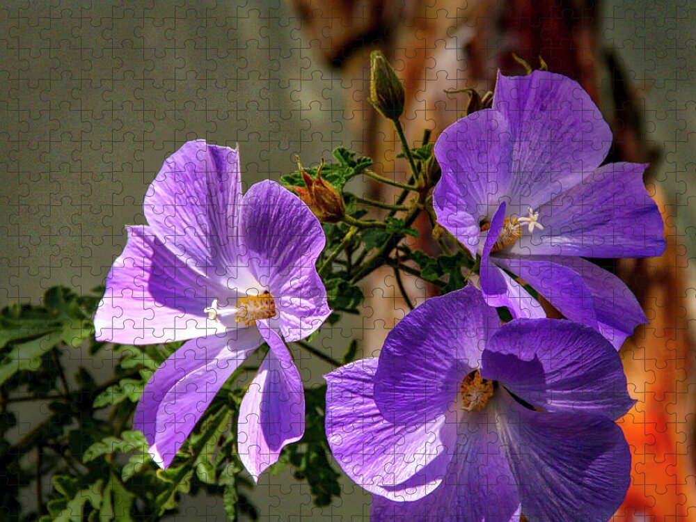 Floral Jigsaw Puzzle featuring the photograph Three Sisters by Gene Parks