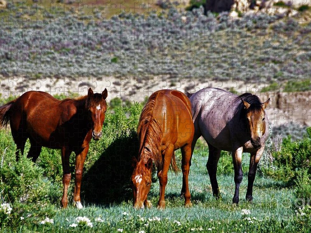 Horses Jigsaw Puzzle featuring the photograph Three Together by Merle Grenz